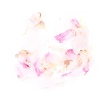 Fashion, accesorii si bijuterii - Femei - Accesorii femei - Esarfe si fulare femei - Esarfa, de dama, Buticcochet, din poliester, imprimeu cu trandafiri, 50x150 cm, Alb - ES2098 - Infinity.ro