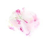 Fashion, accesorii si bijuterii - Femei - Accesorii femei - Esarfe si fulare femei - Esarfa, de dama, Buticcochet, din poliester, imprimeu floral Magnolie, 50x150 cm, Alb - ES1987 - Infinity.ro