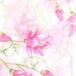 Fashion, accesorii si bijuterii - Femei - Accesorii femei - Esarfe si fulare femei - Esarfa, de dama, Buticcochet, din poliester, imprimeu floral Magnolie, 50x150 cm, Alb - ES1987 - Infinity.ro