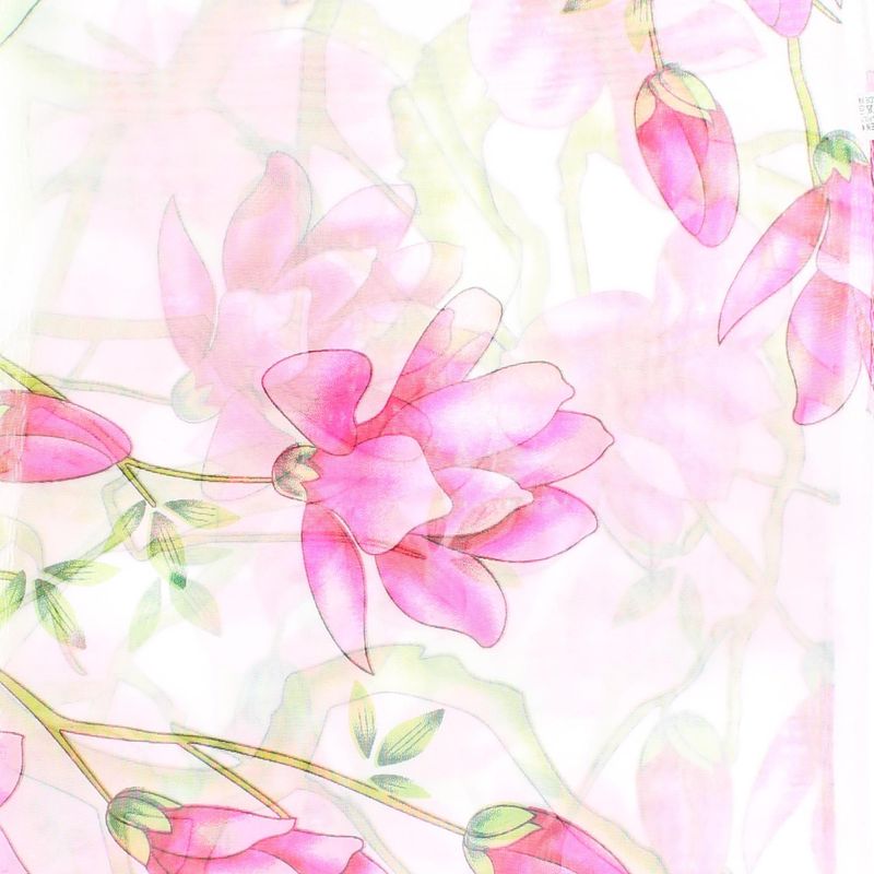 Fashion, accesorii si bijuterii - Femei - Accesorii femei - Esarfe si fulare femei - Esarfa, de dama, Buticcochet, din poliester, imprimeu floral Magnolie, 50x150 cm, Alb - ES1987 - Infinity.ro