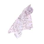Fashion, accesorii si bijuterii - Barbati - Accesorii barbati - Cravate si papioane barbati - Set cravata si batista, Buticcochet, din material sintetic, 148 x 6 cm, model stilizat, Lila - SETC244 - Infinity.ro