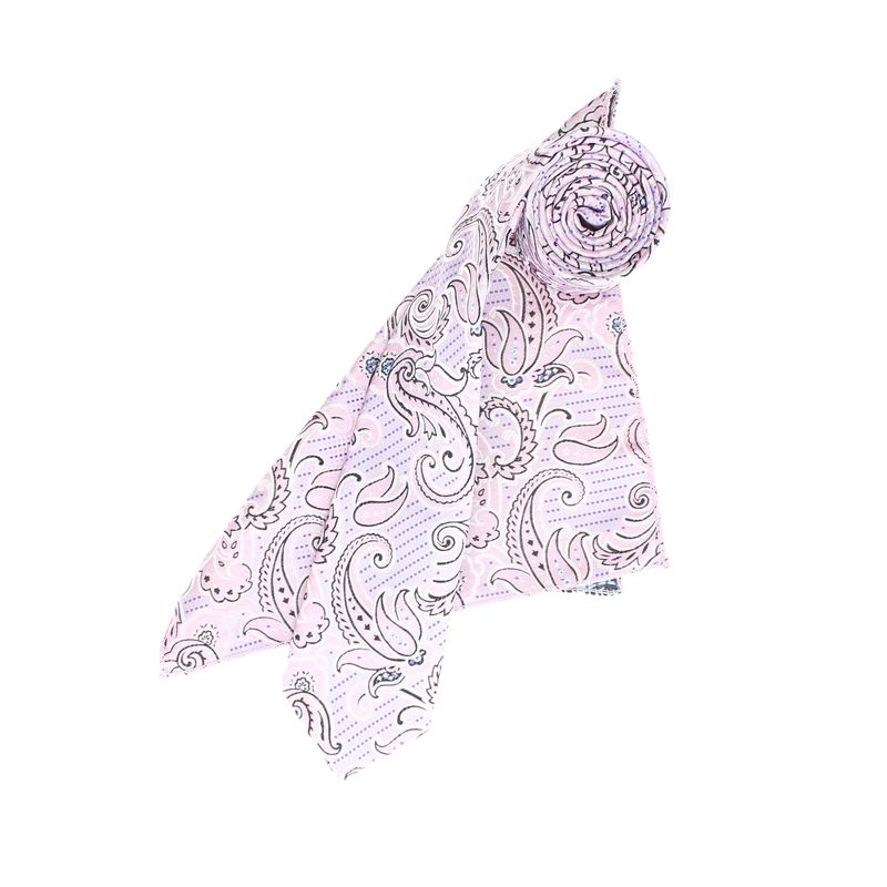 Fashion, accesorii si bijuterii - Barbati - Accesorii barbati - Cravate si papioane barbati - Set cravata si batista, Buticcochet, din material sintetic, 148 x 6 cm, model stilizat, Lila - SETC244 - Infinity.ro
