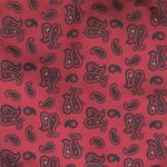 Fashion, accesorii si bijuterii - Barbati - Accesorii barbati - Cravate si papioane barbati - Set cravata si batista, Buticcochet, din material sintetic, 148 x 6 cm, model stilizat, Bordo - SETC238 - Infinity.ro