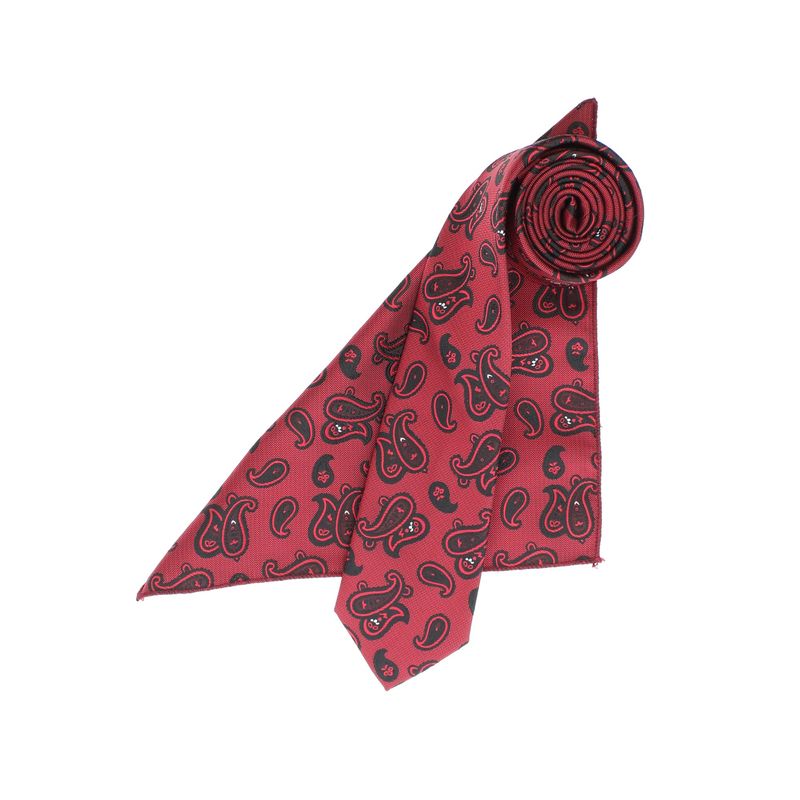 Fashion, accesorii si bijuterii - Barbati - Accesorii barbati - Cravate si papioane barbati - Set cravata si batista, Buticcochet, din material sintetic, 148 x 6 cm, model stilizat, Bordo - SETC238 - Infinity.ro