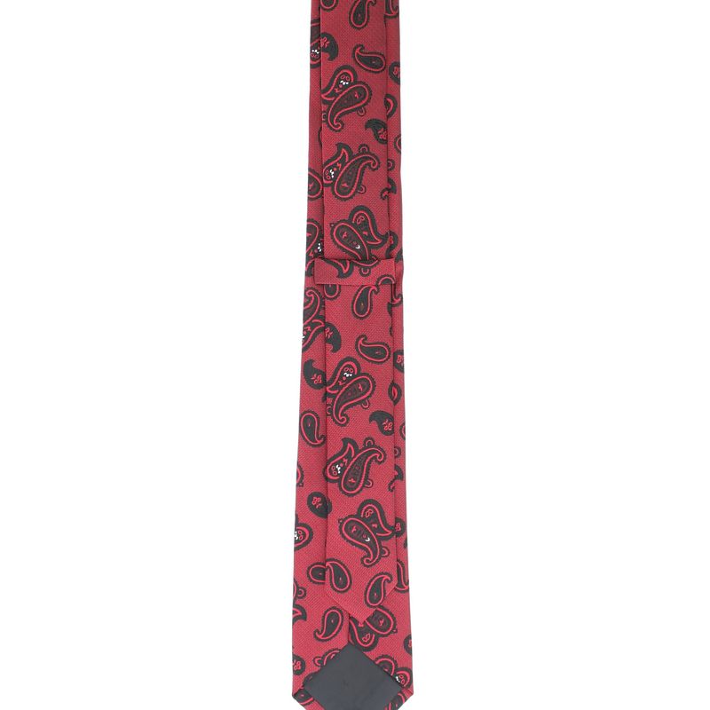 Fashion, accesorii si bijuterii - Barbati - Accesorii barbati - Cravate si papioane barbati - Set cravata si batista, Buticcochet, din material sintetic, 148 x 6 cm, model stilizat, Bordo - SETC238 - Infinity.ro