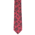 Fashion, accesorii si bijuterii - Barbati - Accesorii barbati - Cravate si papioane barbati - Set cravata si batista, Buticcochet, din material sintetic, 148 x 6 cm, model stilizat, Bordo - SETC238 - Infinity.ro