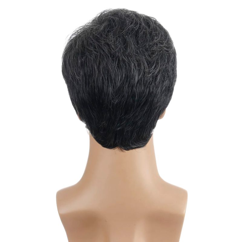 Fashion, accesorii si bijuterii - Barbati - Accesorii barbati - Alte accesorii barbati - Peruca barbat Grizonata, scurta, fibre sintetice Premium care imita par natural - Infinity.ro