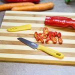 Casa si Gradina - Bucatarie si vesela - Vesela si tacamuri - Cutite si seturi de cutite - Cutit  cu teaca  9.5 cm, galben - Infinity.ro