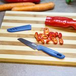Casa si Gradina - Bucatarie si vesela - Vesela si tacamuri - Cutite si seturi de cutite - Cutit cu teaca 9.5 cm , albastru - Infinity.ro