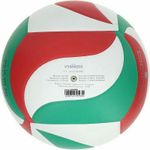 Sport si Outdoor - Sporturi de echipa - Accesorii si echipamente volei - Pachet 15 mingi volei Molten V5M4000 antrenament si competitie cu carucior transport - Infinity.ro
