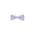 Fashion, accesorii si bijuterii - Copii - Accesorii copii - Alte accesorii copii - Papion pentru copii, Buticcochet, Mov deschis, 9x5 cm - PAPC231 - Infinity.ro