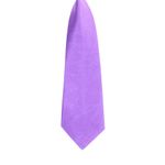 Fashion, accesorii si bijuterii - Copii - Accesorii copii - Alte accesorii copii - Cravata pentru copii, Buticcochet, din material sintetic, 28 cm, Mov - CRV258 - Infinity.ro