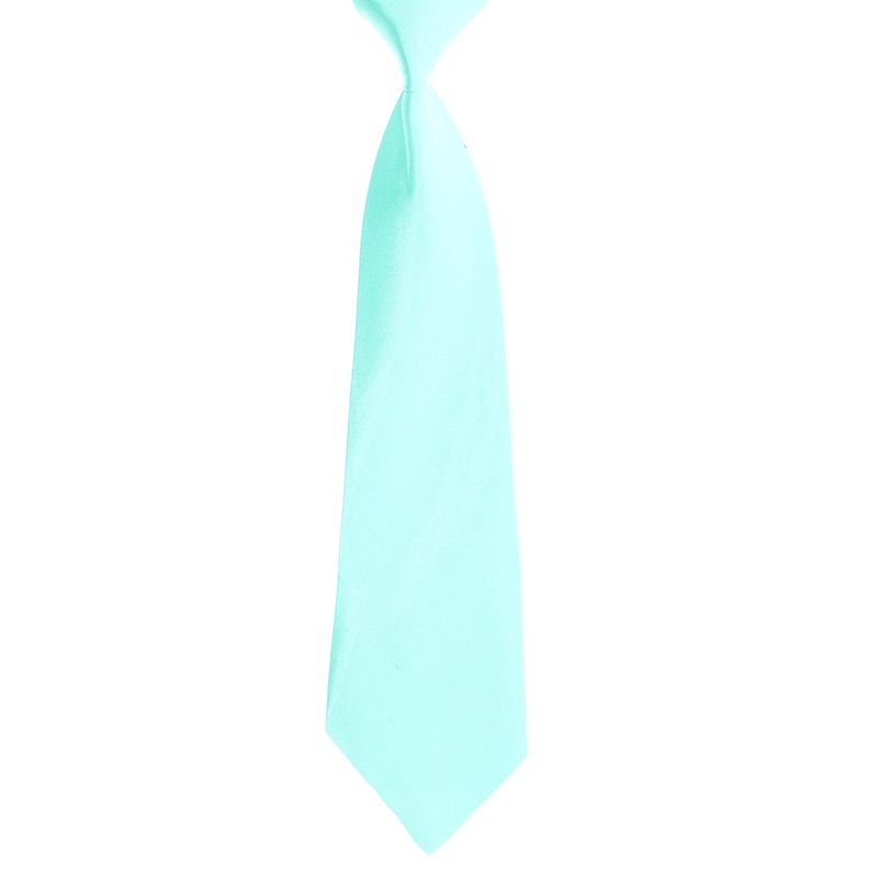 Fashion, accesorii si bijuterii - Copii - Accesorii copii - Alte accesorii copii - Cravata pentru copii, Buticcochet, din material sintetic, 28 cm, Verde menta - CRV262 - Infinity.ro