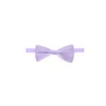 Fashion, accesorii si bijuterii - Copii - Accesorii copii - Alte accesorii copii - Papion pentru copii, Buticcochet, Mov deschis, 9x5 cm - PAPC231 - Infinity.ro