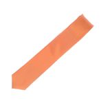 Fashion, accesorii si bijuterii - Barbati - Accesorii barbati - Cravate si papioane barbati - Cravata, Buticcochet, din material sintetic, 145 x 5.5 cm, Portocaliu - CRV268 - Infinity.ro