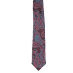Fashion, accesorii si bijuterii - Barbati - Accesorii barbati - Cravate si papioane barbati - Cravata, Buticcochet, din material sintetic, 145 x 5.5 cm, Multicolor - CRV278 - Infinity.ro