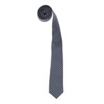 Fashion, accesorii si bijuterii - Barbati - Accesorii barbati - Cravate si papioane barbati - Cravata, Buticcochet, din material sintetic, 145 x 5.5 cm, Gri - CRV284 - Infinity.ro