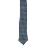 Fashion, accesorii si bijuterii - Barbati - Accesorii barbati - Cravate si papioane barbati - Cravata, Buticcochet, din material sintetic, 145 x 5.5 cm, Multicolor - CRV286 - Infinity.ro