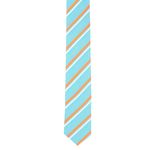 Fashion, accesorii si bijuterii - Barbati - Accesorii barbati - Cravate si papioane barbati - Cravata, Buticcochet, din material sintetic, 145 x 5.5 cm, Turcoaz - CRV307 - Infinity.ro