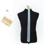 Fashion, accesorii si bijuterii - Barbati - Accesorii barbati - Cravate si papioane barbati - Cravata, Buticcochet, din material sintetic, 145 x 5.5 cm, Turcoaz - CRV307 - Infinity.ro