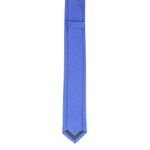Fashion, accesorii si bijuterii - Barbati - Accesorii barbati - Cravate si papioane barbati - Cravata, Buticcochet, din material sintetic, 145 x 5.5 cm,  Albastru electric - CRV229 - Infinity.ro