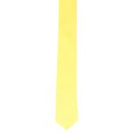 Fashion, accesorii si bijuterii - Barbati - Accesorii barbati - Cravate si papioane barbati - Cravata, Buticcochet, din material sintetic, 145 x 5.5 cm, Galben - CRV238 - Infinity.ro