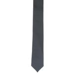 Fashion, accesorii si bijuterii - Barbati - Accesorii barbati - Cravate si papioane barbati - Cravata, Buticcochet, din material sintetic, 145 x 5.5 cm, Negru - CRV235 - Infinity.ro