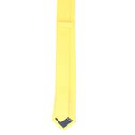 Fashion, accesorii si bijuterii - Barbati - Accesorii barbati - Cravate si papioane barbati - Cravata, Buticcochet, din material sintetic, 145 x 5.5 cm, Galben - CRV238 - Infinity.ro