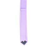 Fashion, accesorii si bijuterii - Barbati - Accesorii barbati - Cravate si papioane barbati - Cravata, Buticcochet, din material sintetic, 145 x 5.5 cm, Mov deschis - CRV237 - Infinity.ro