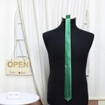 Fashion, accesorii si bijuterii - Barbati - Accesorii barbati - Cravate si papioane barbati - Cravata, Buticcochet, din material sintetic, 145 x 5.5 cm, Verde - CRV240 - Infinity.ro