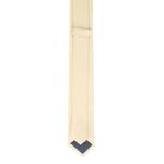 Fashion, accesorii si bijuterii - Barbati - Accesorii barbati - Cravate si papioane barbati - Cravata, Buticcochet, din material sintetic, 145 x 5.5 cm, Bej - CRV246 - Infinity.ro