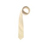 Fashion, accesorii si bijuterii - Barbati - Accesorii barbati - Cravate si papioane barbati - Cravata, Buticcochet, din material sintetic, 145 x 5.5 cm, Bej - CRV246 - Infinity.ro