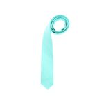 Fashion, accesorii si bijuterii - Barbati - Accesorii barbati - Cravate si papioane barbati - Cravata, Buticcochet, din material sintetic, 145 x 5.5 cm, Verde menta - CRV241 - Infinity.ro