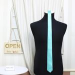 Fashion, accesorii si bijuterii - Barbati - Accesorii barbati - Cravate si papioane barbati - Cravata, Buticcochet, din material sintetic, 145 x 5.5 cm, Verde menta - CRV241 - Infinity.ro