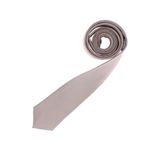 Fashion, accesorii si bijuterii - Barbati - Accesorii barbati - Cravate si papioane barbati - Cravata, Buticcochet, din material sintetic, 145 x 5.5 cm, Bej - CRV269 - Infinity.ro