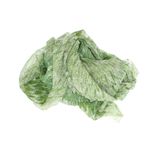 Fashion, accesorii si bijuterii - Femei - Accesorii femei - Esarfe si fulare femei - Esarfa de dama, ButicCochet, 70% poliester 30% vascoza, model stilizat, Verde - ES2983 - Infinity.ro