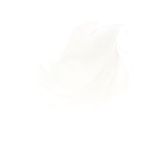Fashion, accesorii si bijuterii - Femei - Accesorii femei - Esarfe si fulare femei - Esarfa de dama, Buticcochet, matase, 180 x 90 cm, Alb - ES1912 - Infinity.ro