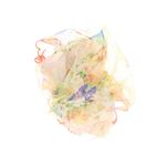 Fashion, accesorii si bijuterii - Femei - Accesorii femei - Esarfe si fulare femei - Esarfa de dama, Buticcochet, 60x60 cm, 40% matase 60% poliester, cu imprimeu floral, Portocaliu - ES2016 - Infinity.ro