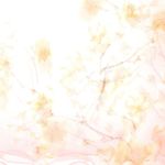 Fashion, accesorii si bijuterii - Femei - Accesorii femei - Esarfe si fulare femei - Esarfa de dama, Buticcochet, 60x60 cm, 40% matase 60% poliester, cu imprimeu floral, Roz - ES2031 - Infinity.ro