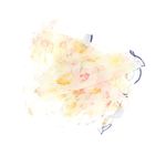 Fashion, accesorii si bijuterii - Femei - Accesorii femei - Esarfe si fulare femei - Esarfa de dama, Buticcochet, 60x60 cm, 40% matase 60% poliester, cu imprimeu floral, Crem - ES2032 - Infinity.ro