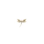 Market - Cadouri - Martisoare - Martisor Brosa, Buticcochet, din metal, Libelula, 6x5 cm, Rosu - MR562 - Infinity.ro