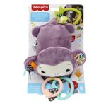 Jucarii, Copii si Bebe - Jucarii si jocuri - Jucarii bebelusi - Jucarii pentru carucioare si patut - Fisher Price Jucarie de Agatat Maimutica Mov Muzicala - Infinity.ro