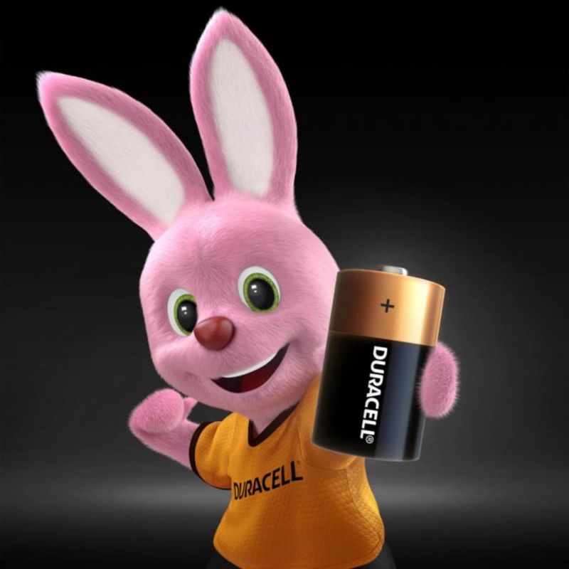 Casa si Gradina - Electrice - Accesorii electrice - Baterii, acumulatori si incarcatoare - Baterii alcaline DURACELL LR20 D PLUS /2 bucati/blister/ 1.5V - Infinity.ro