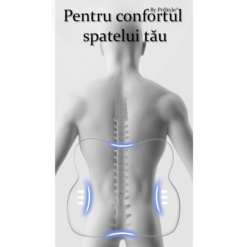 Auto si Moto - Piese auto si accesorii - Interior auto - Accesorii interior - Perna Lombara Auto din Spuma cu Memorie, Suport Ergonomic pentru Spate, Confort Premium pentru Condus Indelungat, Roz - Infinity.ro