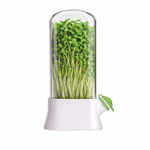 Casa si Gradina - Bucatarie si vesela - Organizare si depozitare bucatarie - Cutii alimentare - Germinator pentru Microplante cu Capac Transparent, Mini Sera pentru Cultivare Acasa, Alb, 27x13 cm - Infinity.ro