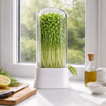 Casa si Gradina - Bucatarie si vesela - Organizare si depozitare bucatarie - Cutii alimentare - Germinator pentru Microplante cu Capac Transparent, Mini Sera pentru Cultivare Acasa, Alb, 27x13 cm - Infinity.ro