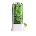 Casa si Gradina - Bucatarie si vesela - Organizare si depozitare bucatarie - Cutii alimentare - Suport pentru Pastrarea Plantelor Proaspete la Frigider cu Capac Transparent, Alb, 27x13 cm - Infinity.ro