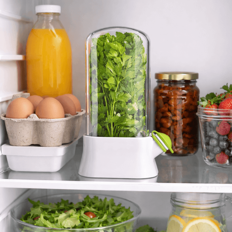Casa si Gradina - Bucatarie si vesela - Organizare si depozitare bucatarie - Cutii alimentare - Suport pentru Pastrarea Plantelor Proaspete la Frigider cu Capac Transparent, Alb, 27x13 cm - Infinity.ro