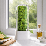 Casa si Gradina - Bucatarie si vesela - Organizare si depozitare bucatarie - Cutii alimentare - Suport pentru Pastrarea Plantelor Proaspete la Frigider cu Capac Transparent, Alb, 27x13 cm - Infinity.ro