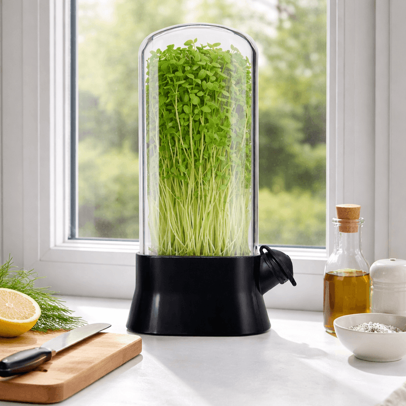 Casa si Gradina - Bucatarie si vesela - Organizare si depozitare bucatarie - Cutii alimentare - Germinator pentru Microplante cu Capac Transparent, Mini Sera pentru Cultivare Acasa, Negru, 27x13 cm - Infinity.ro